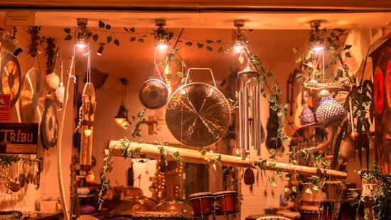 Tribu Music Store